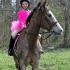 Oak Grove Hunter Pace
